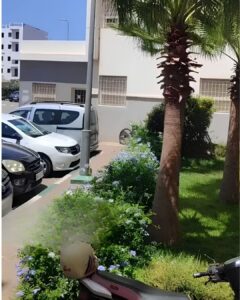 Riyad ahl sala 50m vente (2) 1